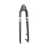 Trek 2021 Verve Aluminum 700C Disc Forks